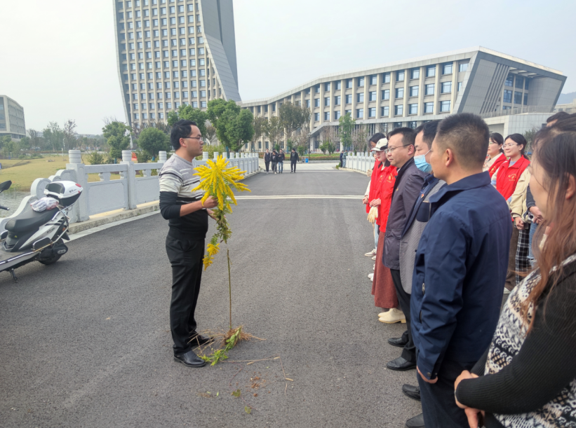 生技学院联合后勤集团开展“清除一支黄花 共建生态校园”主题党日活动