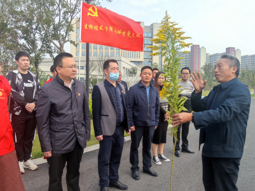 生技学院联合后勤集团开展“清除一支黄花 共建生态校园”主题党日活动