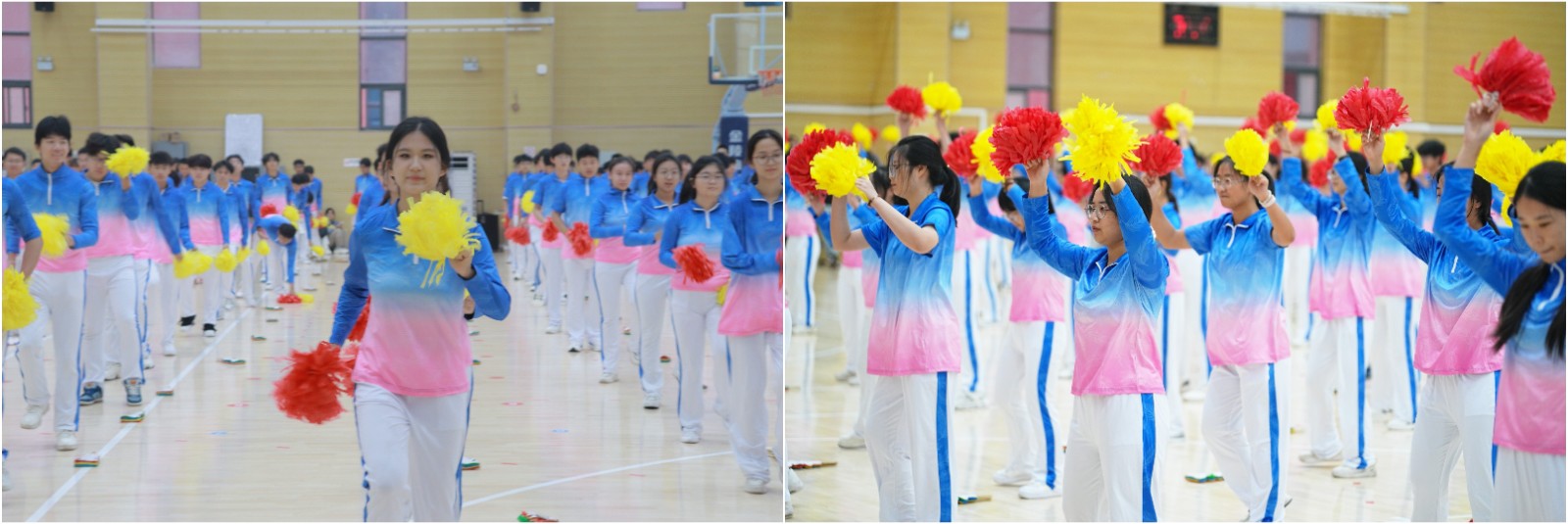 1762503231558671.jpg 1762503231558671.jpg