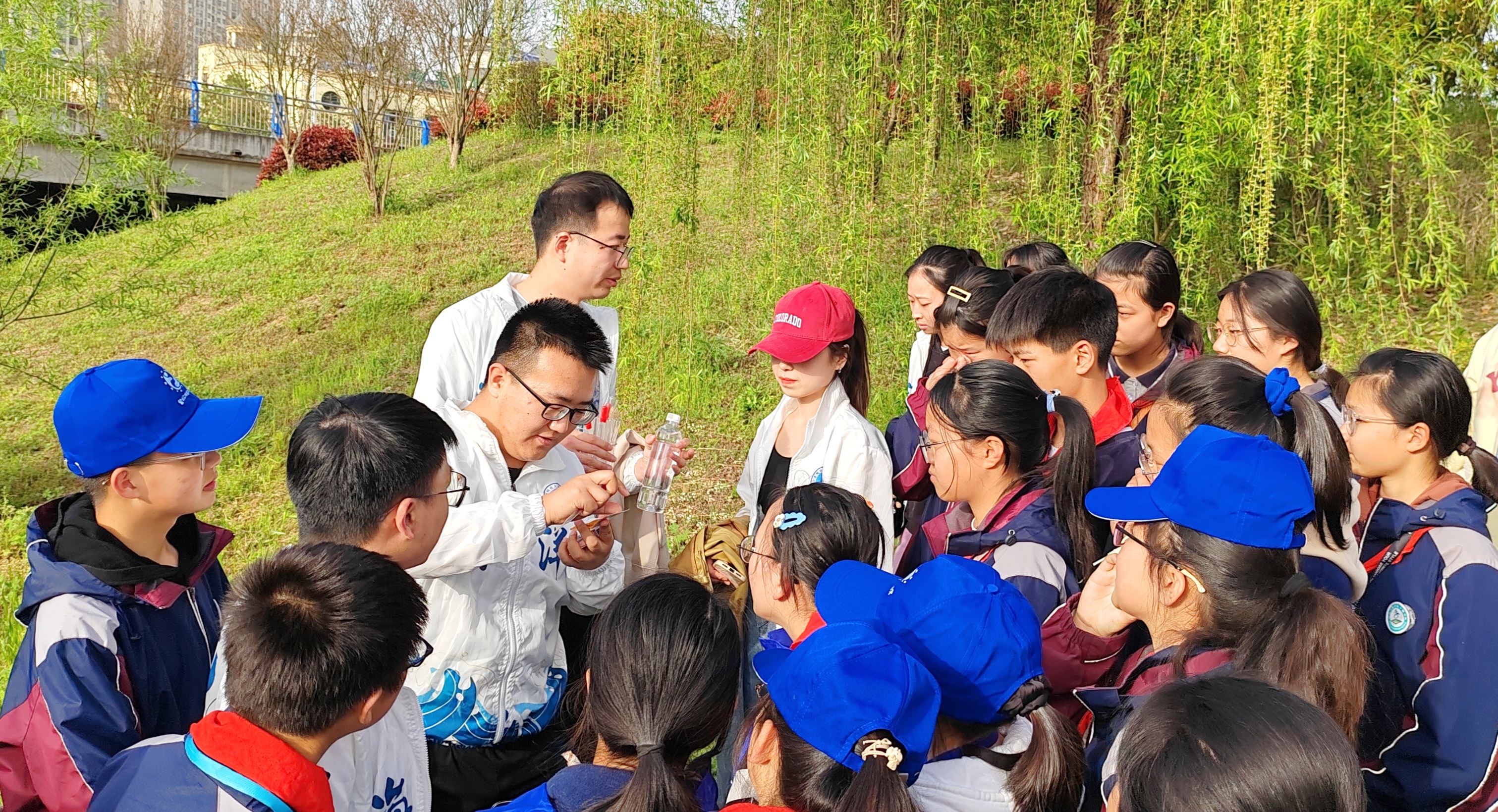 图片12.jpg