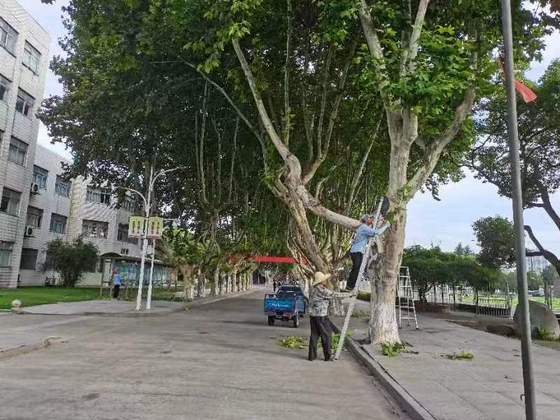55.jpg