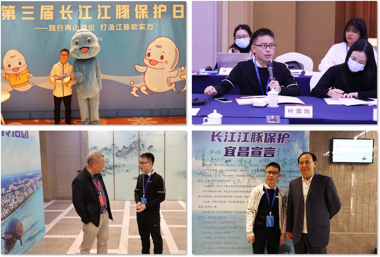图片11.png