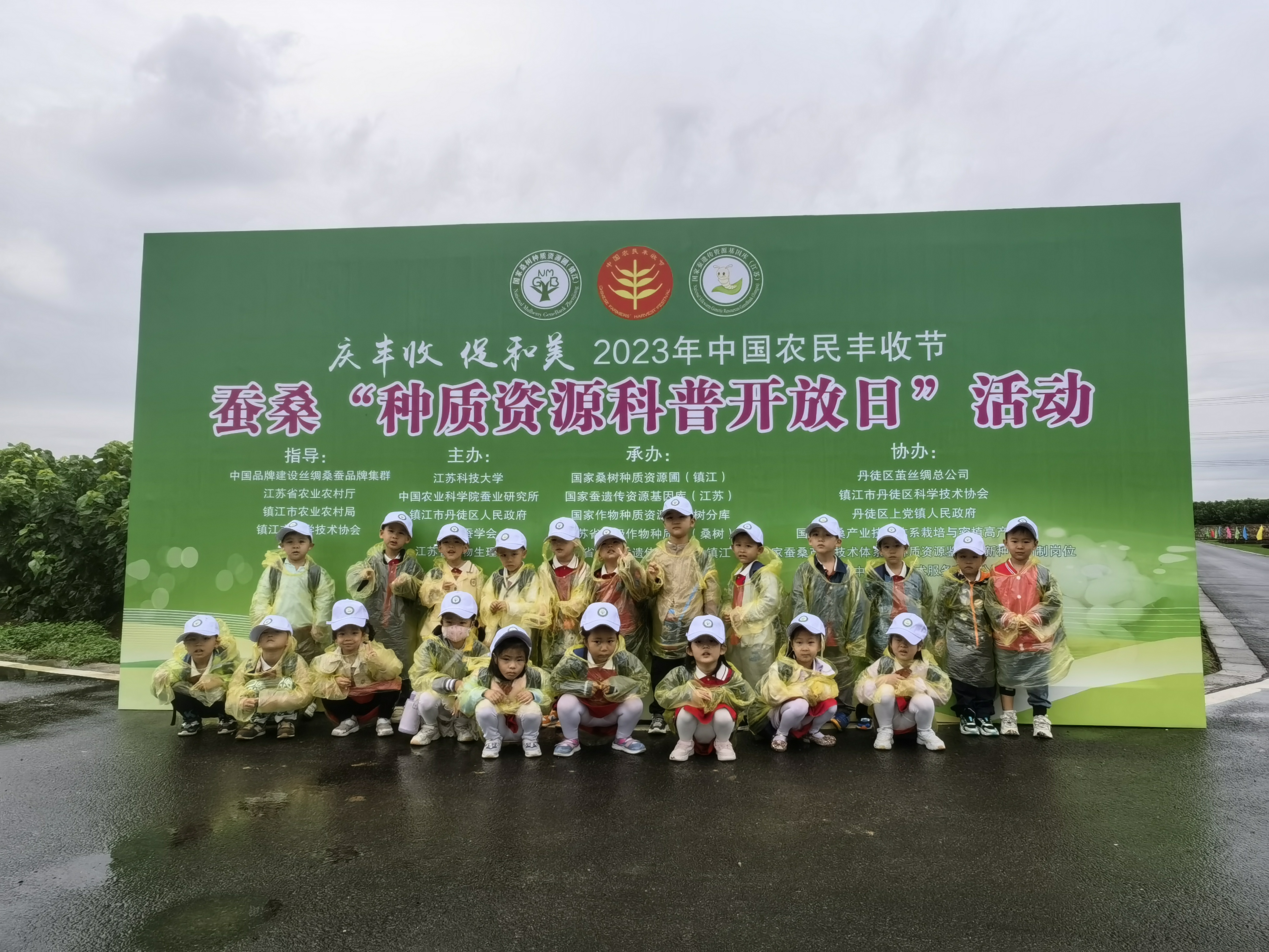 11.jpg