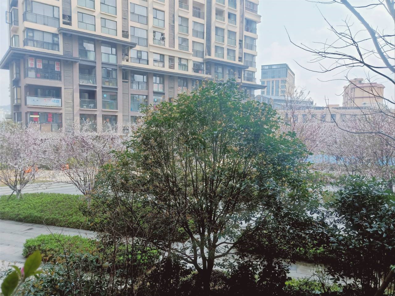 爱满雷锋月，情暖三月天 7.jpg