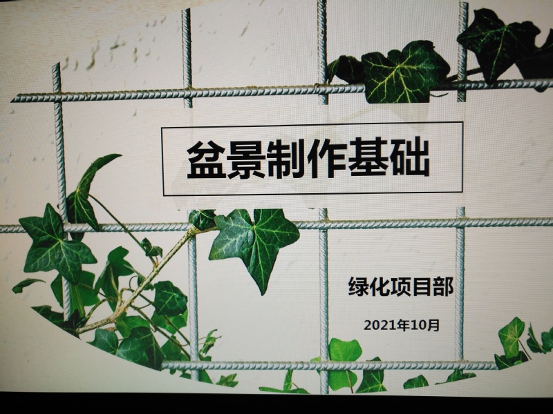 3b9d3871-98a9-4f3e-85d4-9afa84d61ea4.jpg