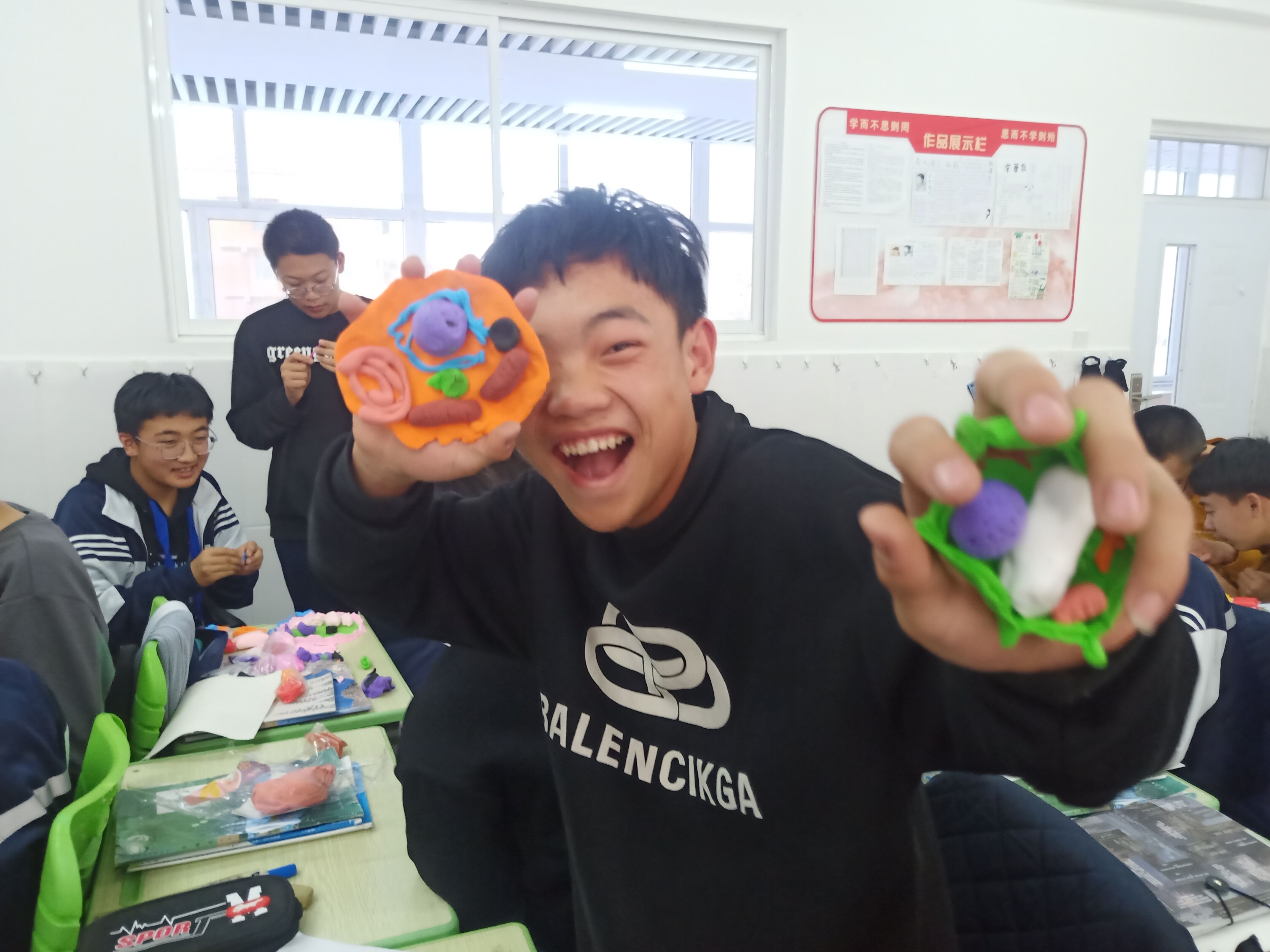 动植物细胞模型对比.jpg